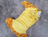 Baby Bee (LBB Ai3v2 cloth diapers)